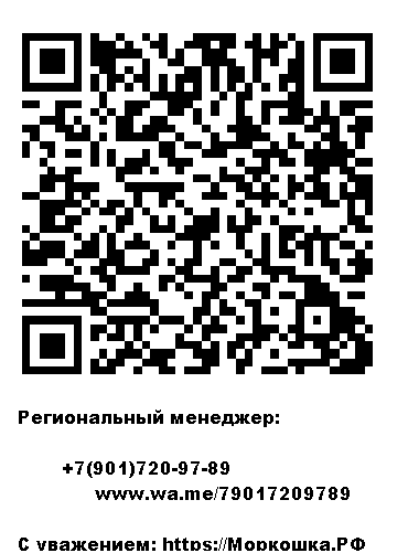 Создать сайт. Создание сайта. Сайт. Услуги по созданию сайта. Sozdat sait. Sozdanie saita